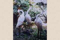 Individual herons