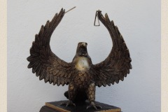 Aguila con triangulo